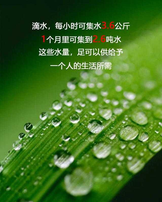 图片14.png