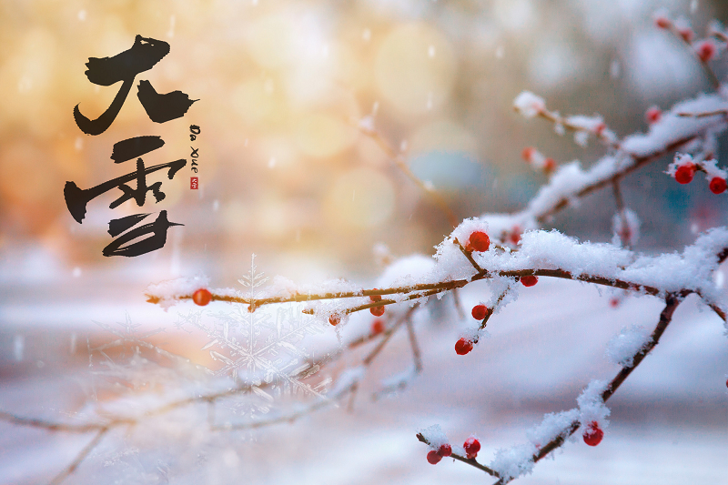 大雪节气  |  万物冬藏待春来