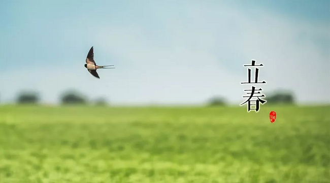 华邦瀛节气特辑 | 立春，一年最美好的开始