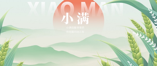 华邦瀛二十四节气特辑｜小满麦渐黄，满屏稻花香！